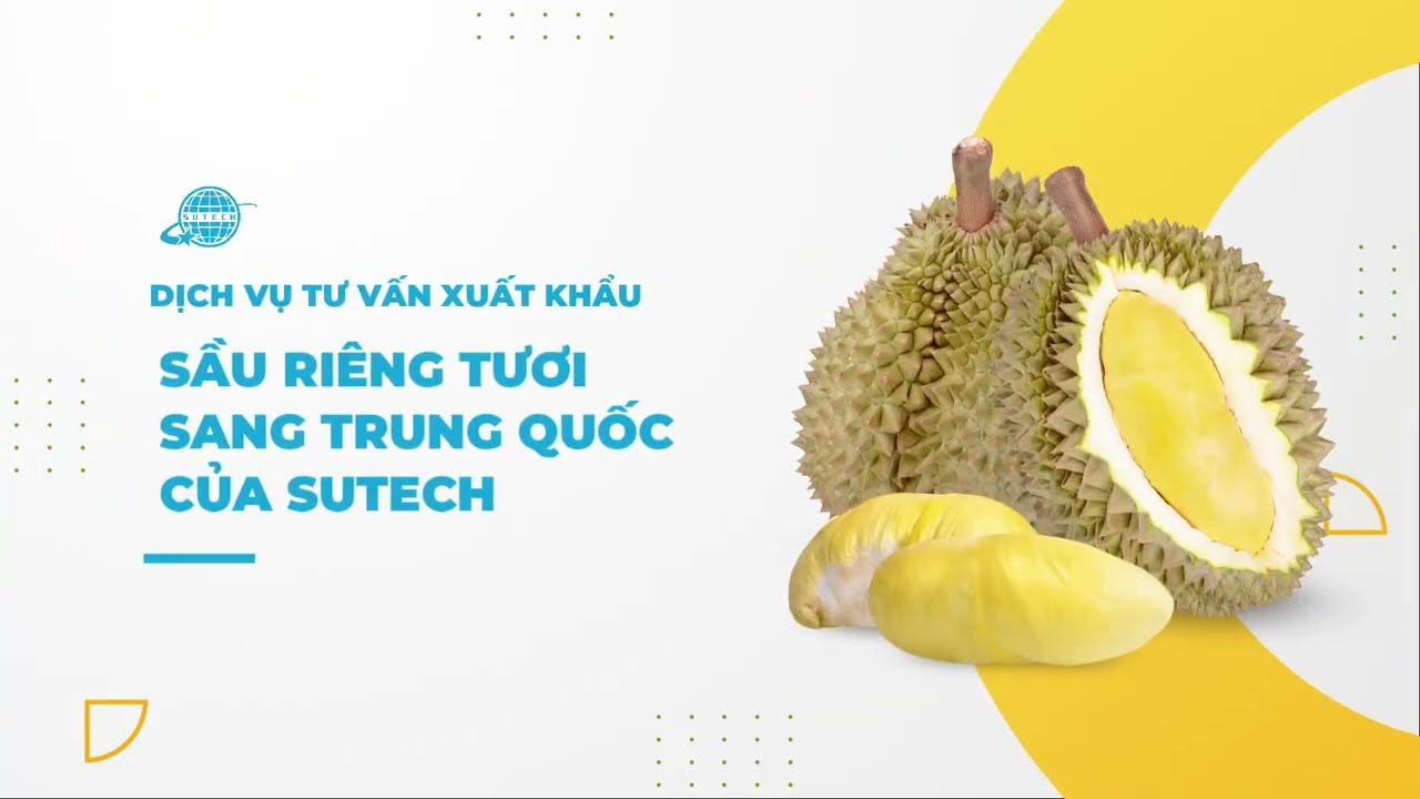 Đăng ký xuất khẩu sầu riêng sang Trung Quốc theo Nghị định thư | SUTECH