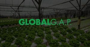 dịch vụ tư vấn tiêu chuẩn GLOBALG.A.P.