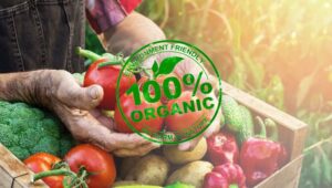 chung-nhan-tcvn-11041