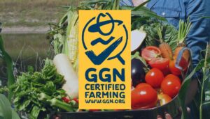 GlobalGAP trồng trọt