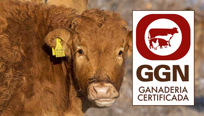 tiêu chuẩn GlobalGAP chăn nuôi