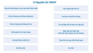 12 nguyên tắc WRAP