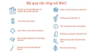 bộ quy tắc ứng xử BSCI