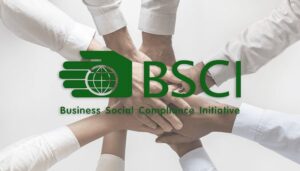 BSCI là gì