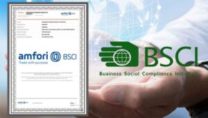 Đánh giá BSCI