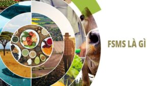 FSMS là gì