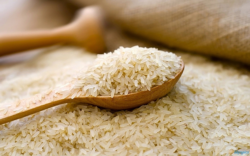  SUTECH cung cấp dịch vụ tư vấn đăng ký mã số xuất khẩu gạo chuyên nghiệp trọn gói