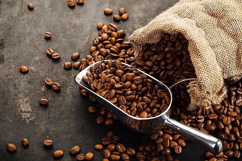 Robusta là loại cà phê được trồng nhiều nhất với sản lượng xuất khẩu lớn nhất