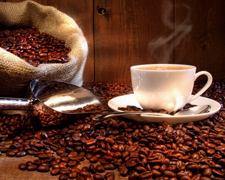 Cà Phê Ngon chuyên cung cấp các sản phẩm cà phê hòa tan, cà phê rang xay, cà phê hạt cho các thị trường lớn như Ấn Độ, Anh, Thụy Sĩ...