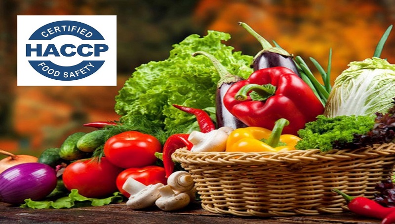 HACCP Logo: Màu sắc, ý nghĩa và lợi ích đối với doanh nghiệp