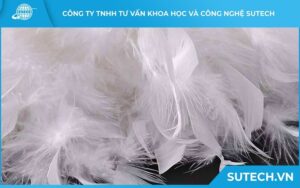 xuất khẩu lông vịt