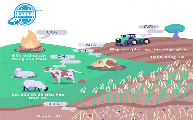 Kiểm kê khí nhà kính trong trồng trọt