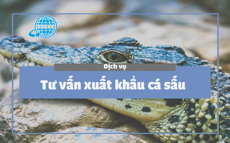 thủ tục xuất khẩu cá sấu