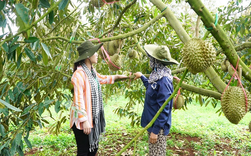 Hướng dẫn theo dõi toàn bộ quá trình xuất khẩu