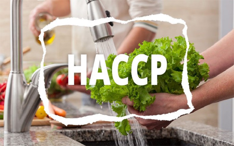 Điều kiện để doanh nghiệp được cấp giấy chứng nhận HACCP 1 Giấy chứng nhận HACCP là gì?