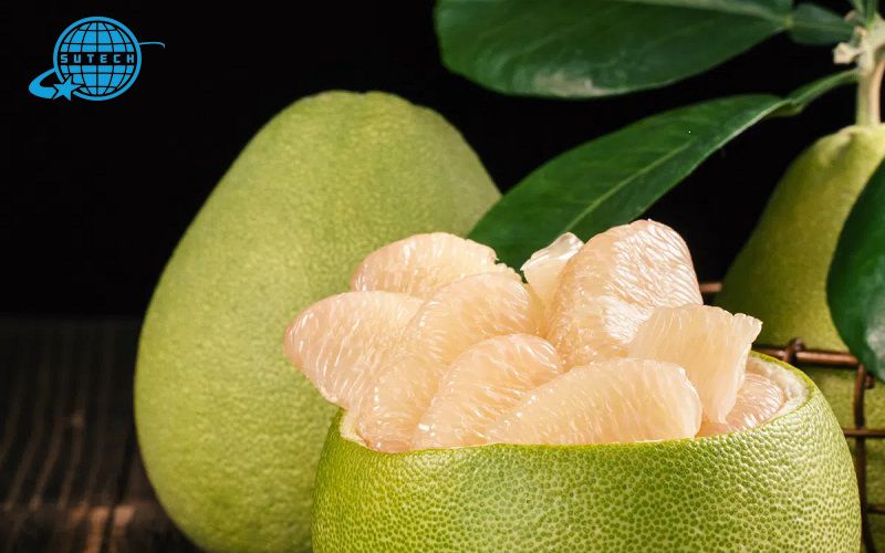 Điều kiện để doanh nghiệp xuất khẩu bưởi sang EU thành công 3 Điều kiện để xuất khẩu bưởi sang eu