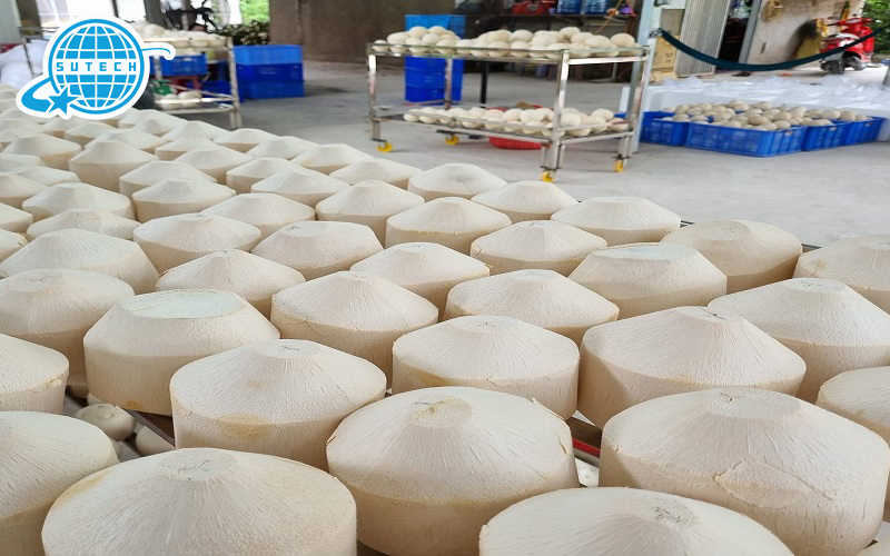 Dầu dừa xuất khẩu thành công cần những thủ tục nào? 4 Tư vấn xuất khẩu dầu dừa