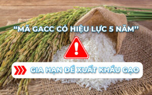 Gia hạn mã số xuất khẩu gạo