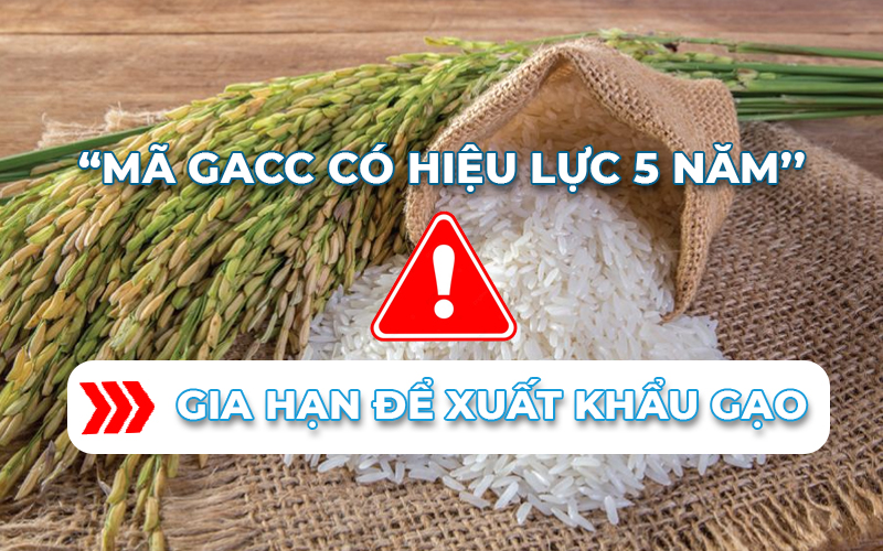 Gia hạn mã xuất khẩu Gạo: Hướng dẫn chi tiết cho doanh nghiệp xuất khẩu 1 Gia hạn mã số xuất khẩu gạo