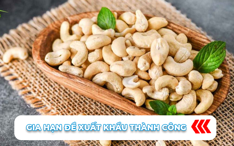 Hướng dẫn doanh nghiệp gia hạn mã xuất khẩu hạt điều 3 Gia hạn mã xuất khẩu hạt điều