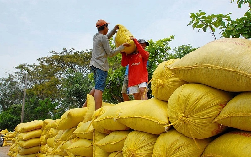 Gia hạn mã xuất khẩu Gạo: Hướng dẫn chi tiết cho doanh nghiệp xuất khẩu 3 Tại sao doanh nghiệp cần gia hạn mã số xuất khẩu gạo?