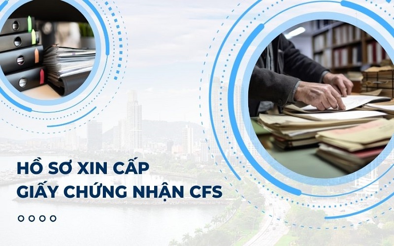 CFS là gì? Quy trình cấp CFS đối với hàng hóa xuất khẩu 5 Hồ sơ xin chứng nhận CFS