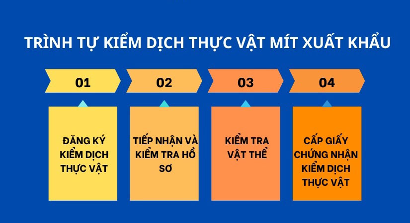 Thủ tục để mít xuất khẩu sang Trung Quốc theo đúng quy định 4 Trình tự kiểm dịch vật đối với mít xuất khẩu