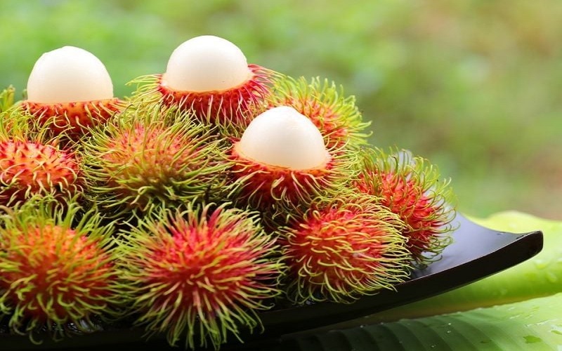 Chôm chôm xuất khẩu cần đạt những tiêu chuẩn nào? 3 Đáp ứng các tiêu chuẩn xuất khẩu