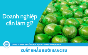 Xuất khẩu bưởi sang EU