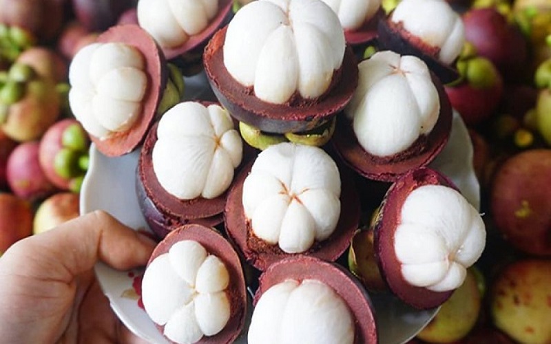 Để xuất khẩu măng cụt chính ngạch cần đảm bảo điều kiện gì? 2 Quy định về xuất khẩu măng cụt