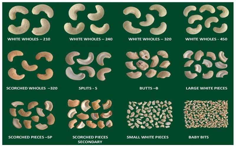 Các loại hạt điều xuất khẩu