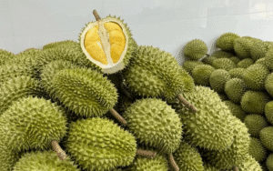 Thủ tục xuất khẩu sầu riêng sang Trung Quốc