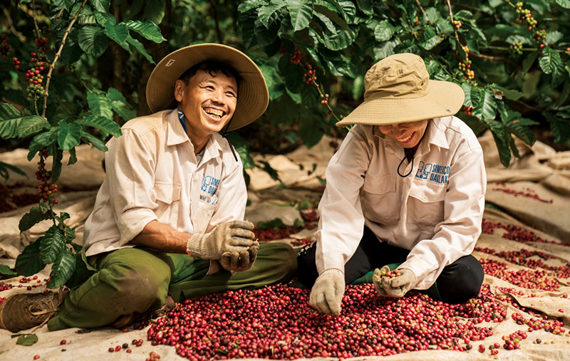 Thị trường xuất khẩu cà phê của Việt Nam