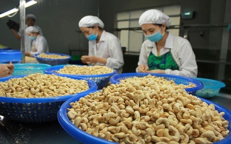 Thị trường xuất khẩu hạt điều của Việt Nam