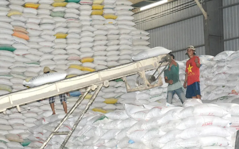 Căn cứ pháp lý về giấy phép xuất khẩu gạo