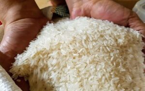 Các mối nguy trong sản xuất gạo