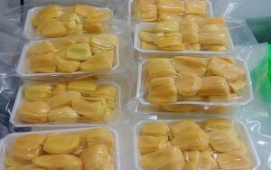 Mít đông lạnh xuất khẩu