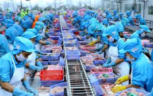 Cơ hội và thách thức của xuất khẩu thủy sản Việt Nam