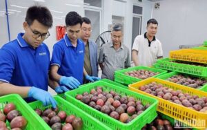 Vì sao doanh nghiệp cần tuân thủ lệnh 280?