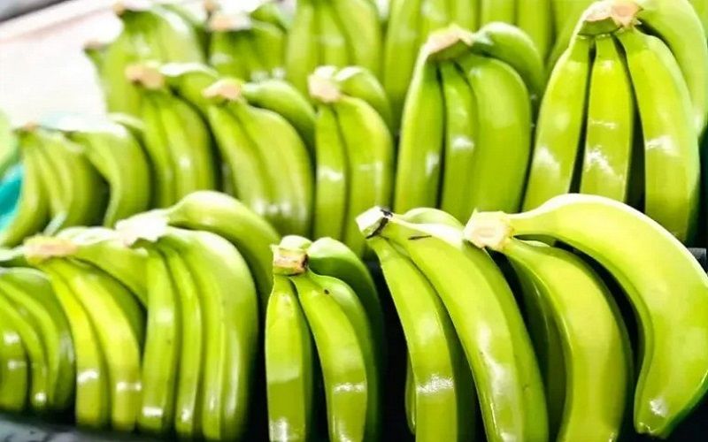 Vùng trồng chuối ở Đồng bằng sông Cửu Long