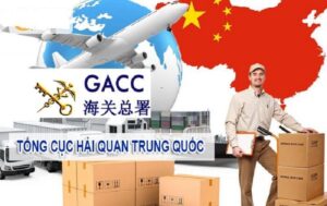 quản lý khai báo đối với doanh nghiệp xuất khẩu nông nghiệp