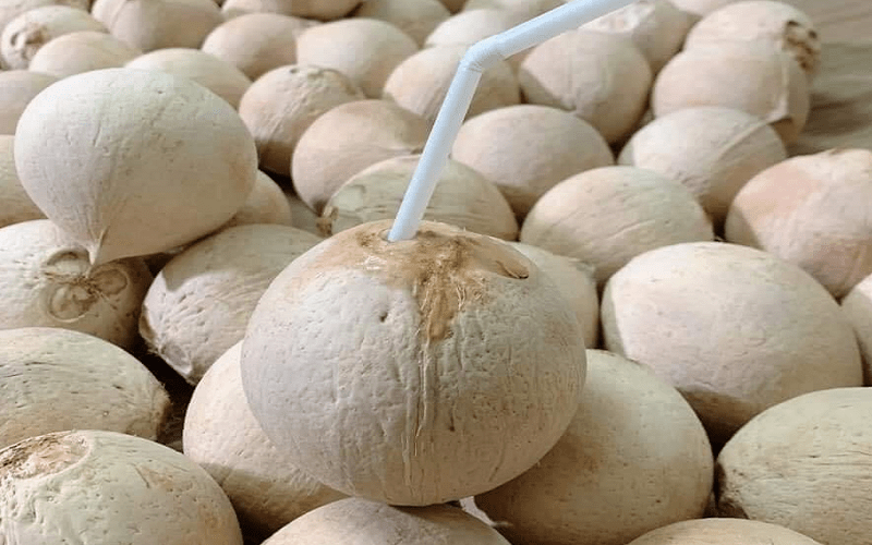 Phân tích từng yếu tố của dừa sọ