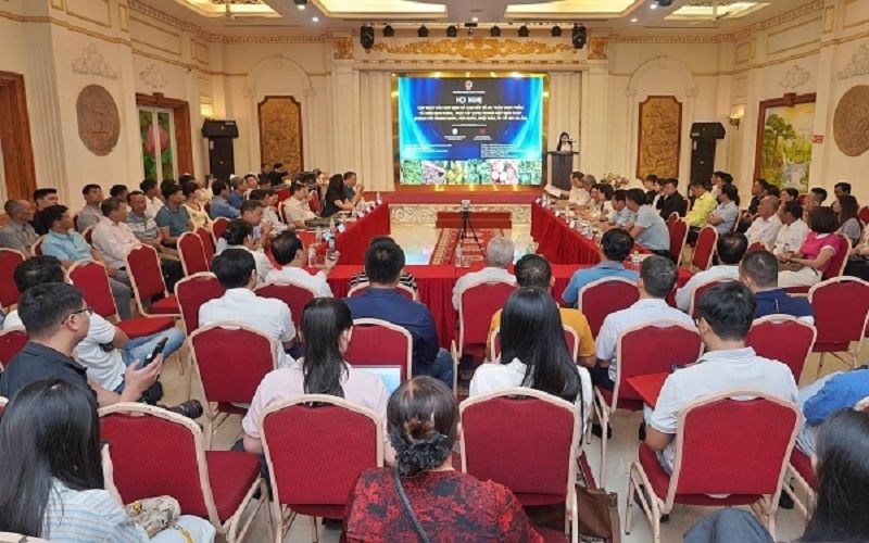 So sánh sự khác nhau giữa lệnh 280 và lệnh 248