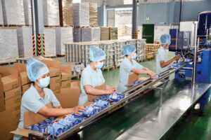 Thủ tục xuất khẩu nước dừa đóng hộp