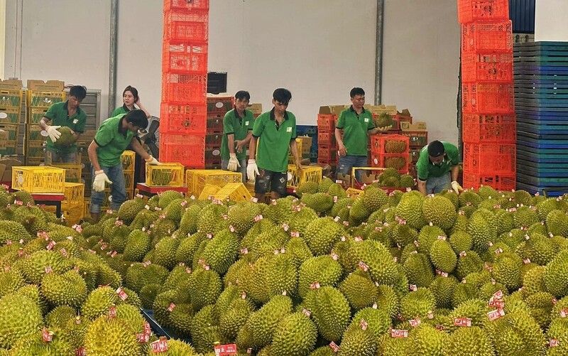 Các lỗi thường gặp khi đăng ký GACC