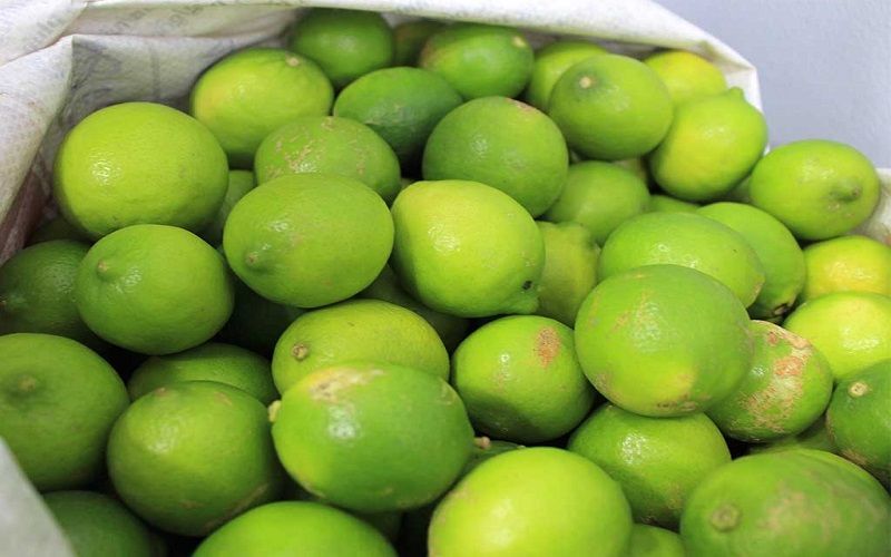 Mã số vùng trồng chanh là gì?